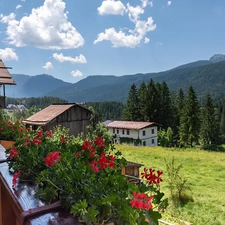 Olympic Comfy Trimestate Ampezzo S Flat Apartmán San Vito di Cadore